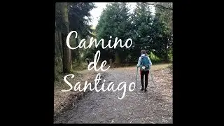 Camino de Santiago 2019. Sarria - Santiago (parte 1 )