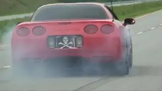 HardRockBullys Pitbulls Corvette SPEEDY DELIVERY by Don Guerrieri Video 005