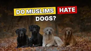 Why Do People Think Muslims Avoid Dogs?