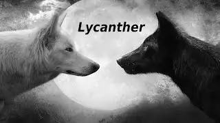 ★Drakensang Online ★013★Lycanther die Legende