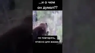Медведь против человека.