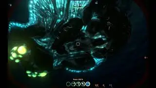 Just repairing a ReefBack