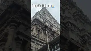 🙇‍♂️🙏🏻👀🖤@arunachalaom #arunachalam #trending #god #devotional #om#omnamahshivaya #youtubeshorts