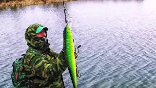 I'm afraid, but I fish, eat, drink and merge with nature.