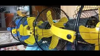 sony fan #viral #sopar #27/03/2024 #bellal #viral