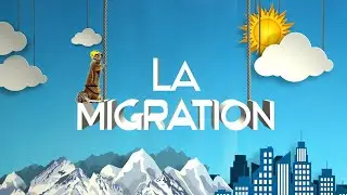 #ONIVA! - La migration