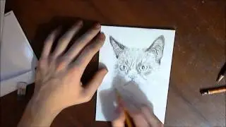 Малюнок*)