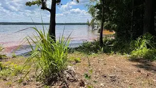 FARM SOUNDS 🐟 - Lake Edition (No Talking / Relaxing / ASMR)