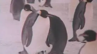 Аборигены Антарктиды (1981) Советское кино