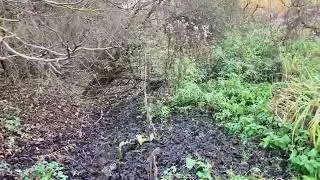 Őszi séta a völgy sűrű mélyén keresztül  - Eger