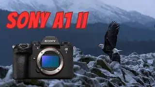 Sony A1 II Alaska Tested: THE Wildlife Photographer’s Camera?