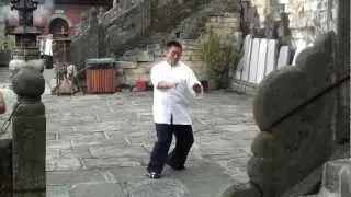 Tai Chi Lao Jia