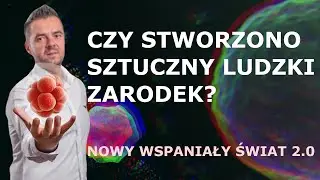 Stworzono ludzki zarodek bez udziału komórki jajowej i plemnika? O co chodzi w głośnym eksperymencie