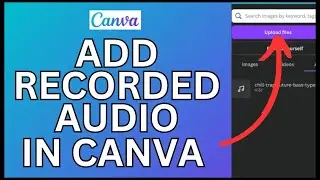 How to Add Recorded Audio in Canva 2024?