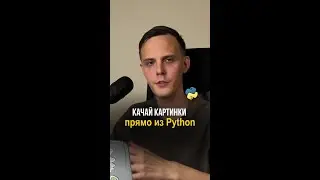 Как скачать картинку по ссылке в Python. Requests: скачиваем файлы в пару строк