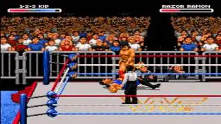WWF RAW One-on-One