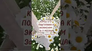 Слив Курсов ЕГЭ от УМСКУЛ 