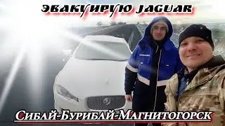 Если бы скалали это повторить,Я бы не повторил.Эвакуация Ягуара 🐆