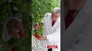 Ziraatçi Başkanla Sakarya Üretiyor Türkiye Kazanıyor