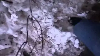 Чистим обувь )