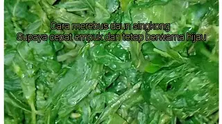 tips cara merebus daun singkong supaya cepat empuk dan warna ny tetap hijau
