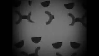 Dresdfre.vvj