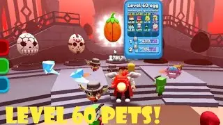 HATCHING LEVEL 60 PETS IN YOUTUBE LEGENDS! (Roblox)