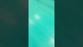покемоны