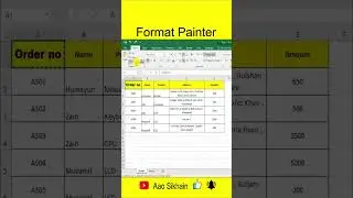 Use Format Painter in excel