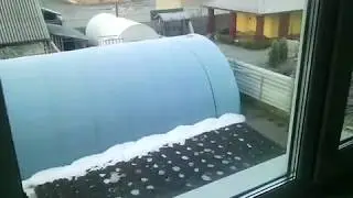 Рассада томатов в кассетах до пикировки.Начало сезона 2019 года