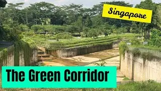 The Green Corridor, Singapore