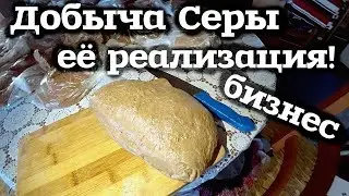 Добыча СЕРЫ и её Реализация! Сера лиственницы, живица!