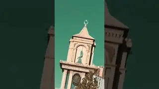 “Ay noluyo!” Dedirten Video Efekti 🤓 - Zeoside 