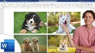 How to Insert Multiple Images in MS Word