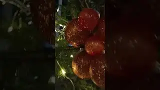 Новогодняя красота в Саратове🎄🎄🎄