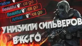 УНИЗИЛИ СИЛЬВЕРОВ В КС!!!