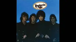 Raspberries – Don't Want To Say Goodbye