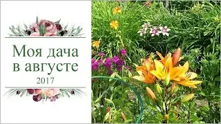 Моя дача в августе 2017г.