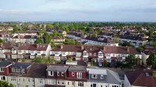 Raynes Park Foxes 2