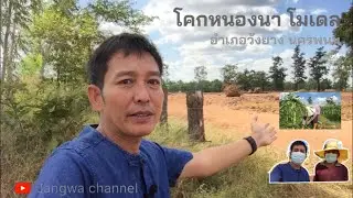 Community way of life EP2 Khok Nong Na model,Wang Yang District, Nakhon Phanom#Jangwa |Jangwachannel