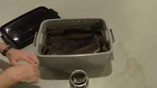 New Vermicompost Worm Bin 4 Week Followup
