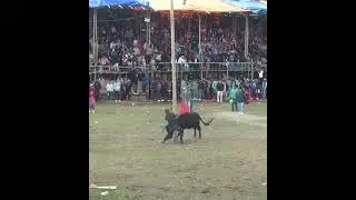 Que torero...!