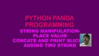 PYTHON PANDA STRING PLACE VALUE AND CONCATINATION OF STRING 29