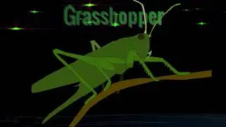Grasshopper Spirit Animal. | Spirit animal meaning. Power Animal. Grasshopper  signal
