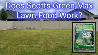 Does Scotts Green Max Lawn Food Fertilizer Work? - 1 Week Test,  See The Results.