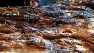 no one thought that this big wood was broken.
