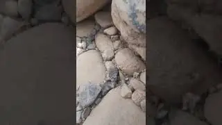 Рыбалка Казахстан видео 7