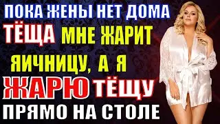 Жена в командировке, зато есть её мама