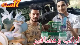 أصغر مربى ارانب فى مصر عبدالرحمن عمل ايه معايا