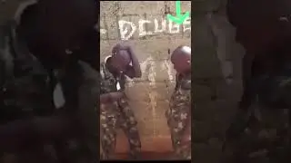 қорнай бобоги
